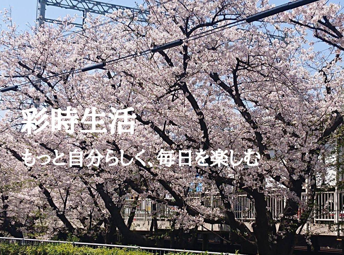 私鉄沿線の駅沿いの桜並木